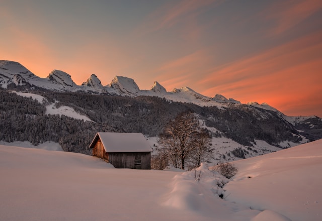 17e62166 bench2 item