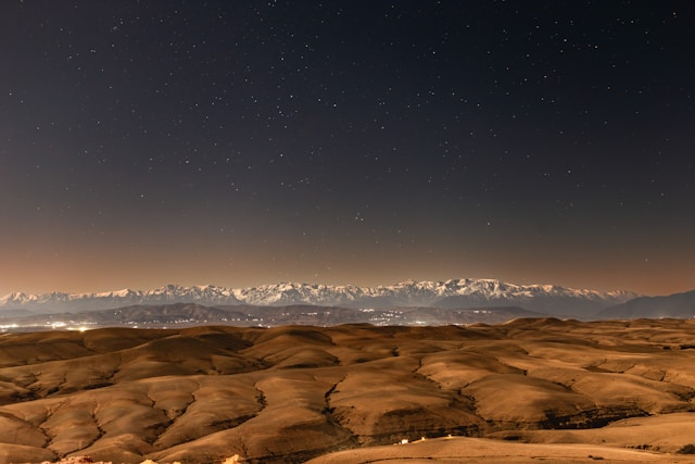 1679091c bench2 item